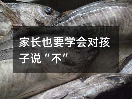 ���LҲҪ�W(xu��)���������f������