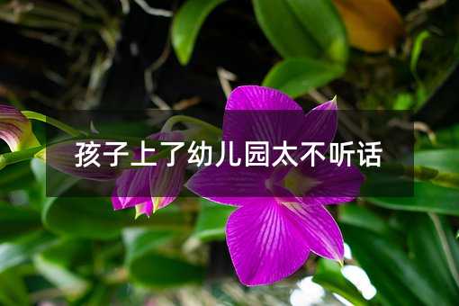 孩子上了幼兒園太不聽話