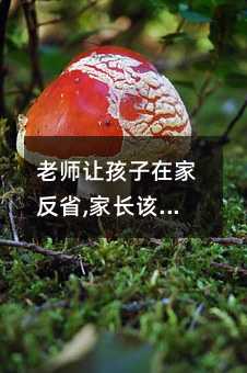 老師讓孩子在家反省,家長該怎么做