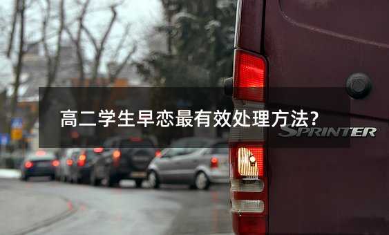 高二學生早戀最有效處理方法?