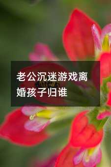 老公沉迷游戲離婚孩子歸誰