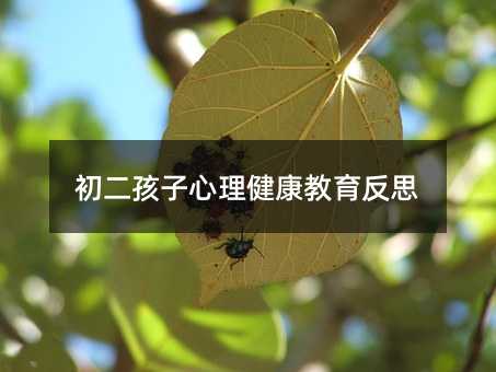 ����������������������˼