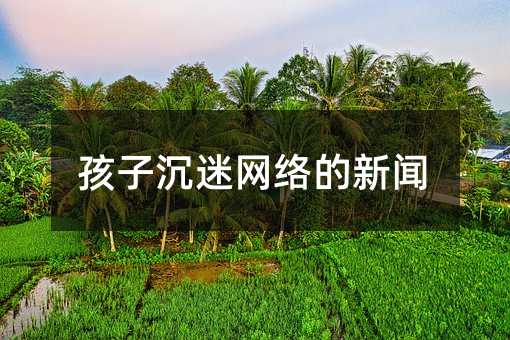 ���ӳ��ԾW(w��ng)�j(lu��)����