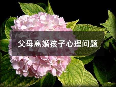 ��ĸ�x�麢�����톖�}