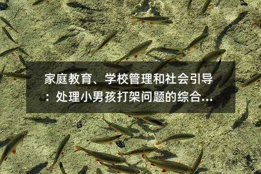 家庭教育、學校管理和社會引導:處理小男孩打架問題的綜合方法