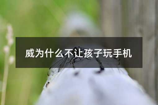 ����ʲô��׌�������֙C