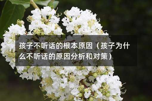 孩子不聽話的根本原因(孩子為什么不聽話的原因分析和對策)