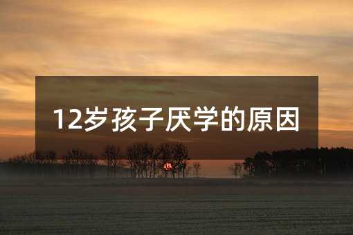 12�q���Ӆ��W��ԭ��