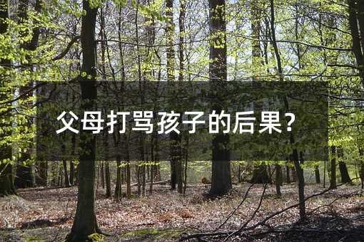 ��ĸ���R���ӵĺ����