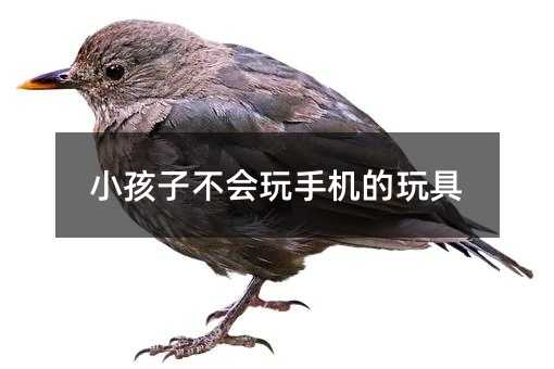 С���Ӳ������֙C�����