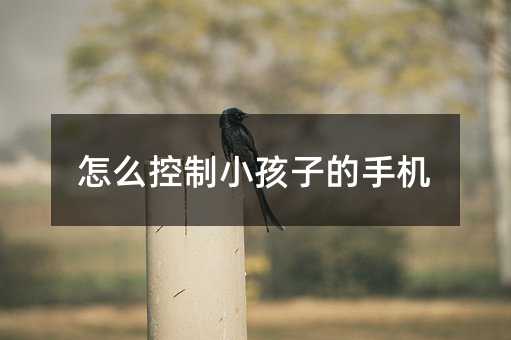 ��ô����С���ӵ��֙C