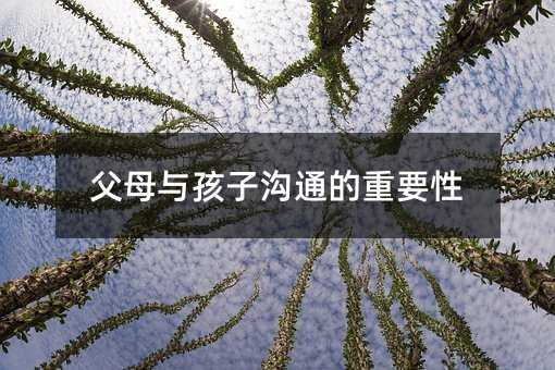 ��ĸ�c���Ӝ�ͨ����Ҫ��