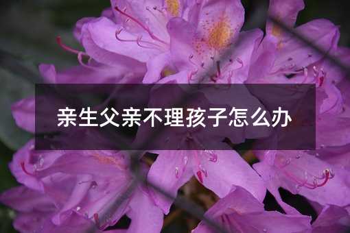 �H�����H����������ô�k