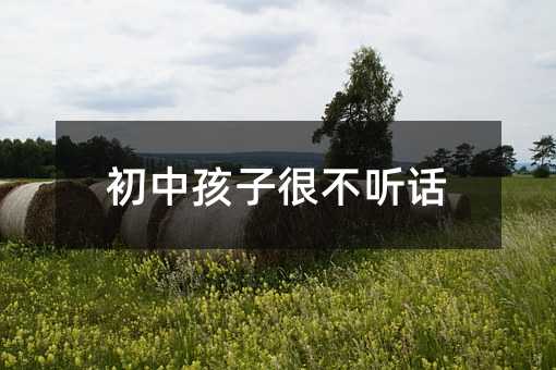 ���к��Ӻܲ� Ԓ