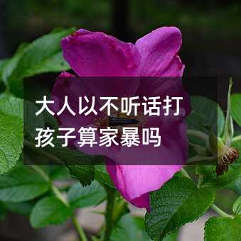 �����Բ� Ԓ������ұ���