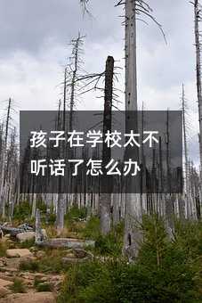 孩子在學校太不聽話了怎么辦