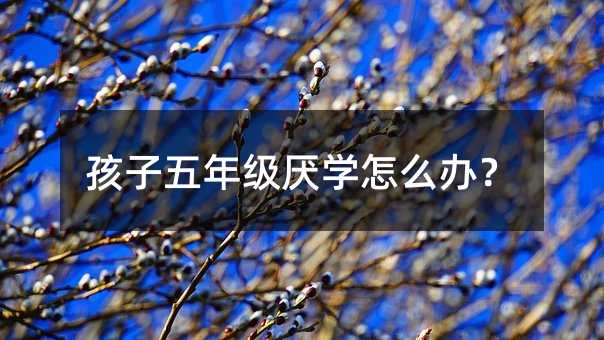 孩子五年級厭學怎么辦?