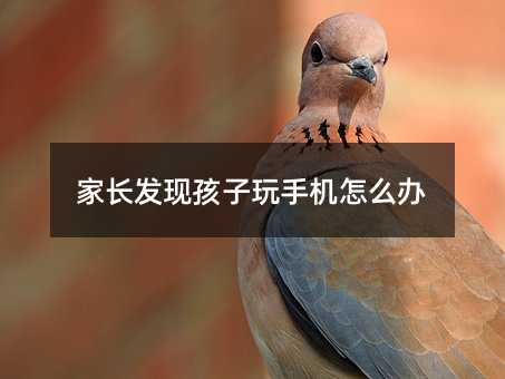 ���L�l�F�������֙C��ô�k