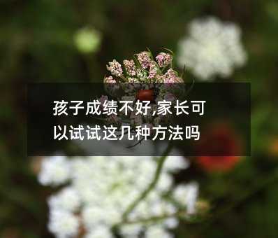 ���ӳɿ�����,���L����ԇԇ�@�׷N������