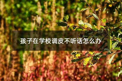 孩子在學校調皮不聽話怎么辦