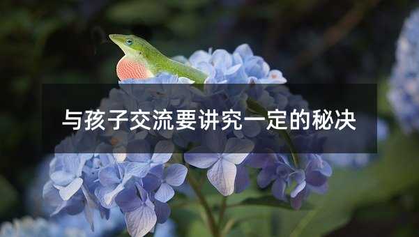 與孩子交流要講究一定的秘決