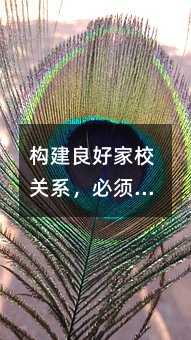 構建良好家校關系,必須對送禮風說不