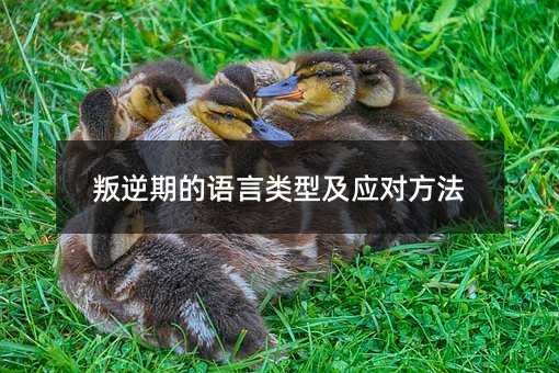 �����ڵ��Z����ͼ���(y��ng)������