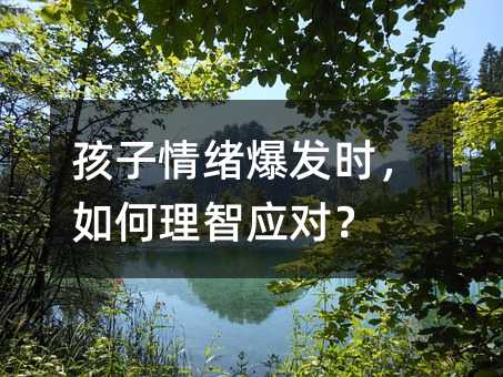 ������w���l�r��������Ǒ�����