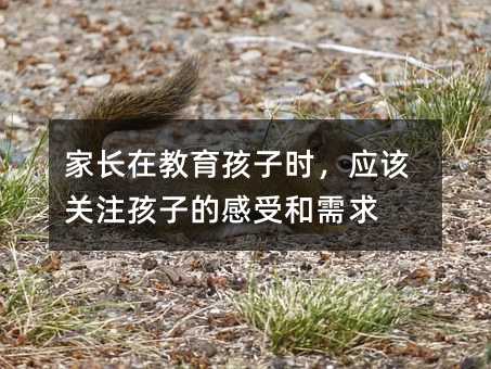 ���L�ڽ������ӕr����ԓ�Pע���ӵĸ��ܺ�����