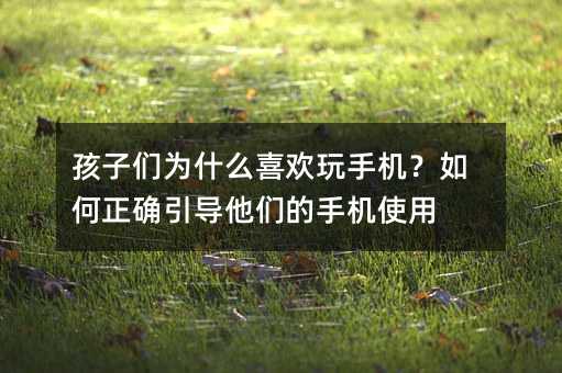 ���ӂ���ʲôϲ�g���֙C��������_�����������֙Cʹ��