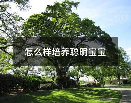 ��ô�����B������