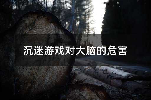 沉迷游戲?qū)Υ竽X的危害