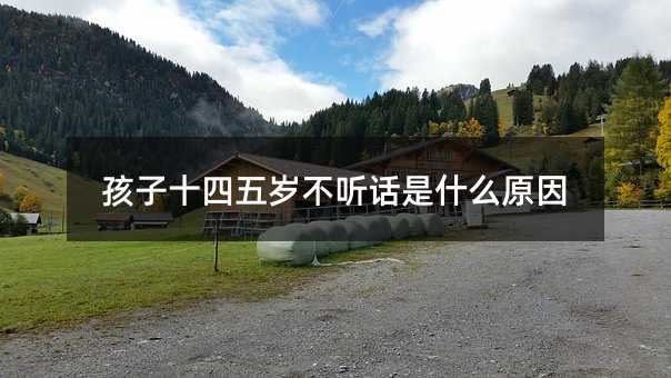 ����ʮ����q�� Ԓ��ʲôԭ��