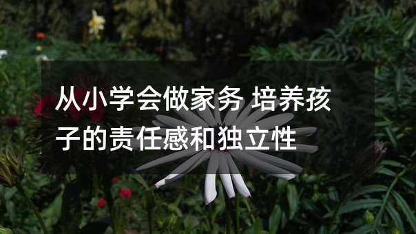 ��С�W(xu��)��(hu��)���҄�(w��) ���B(y��ng)���ӵ�؟(z��)�θкͪ�(d��)����