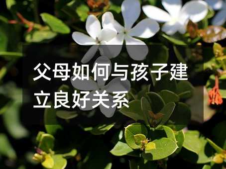 父母如何與孩子建立良好關系