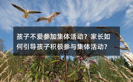 ���Ӳ��ۅ��Ӽ��w��ӣ����L�������(d��o)���ӷe�O���c���w��ӣ�