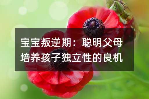 ���������ڣ�����ĸ���B(y��ng)���Ӫ�(d��)���Ե����C(j��)