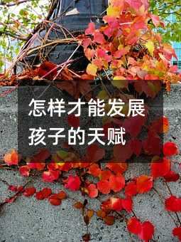 怎樣才能發展孩子的天賦