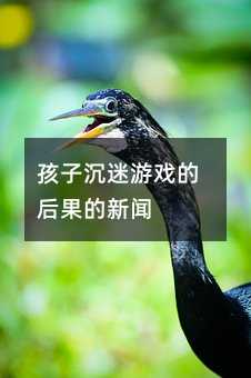 ���ӳ����Α�ĺ������