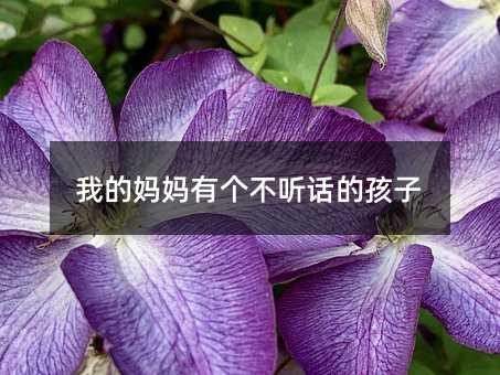 �ҵċ����Ђ��� Ԓ�ĺ���