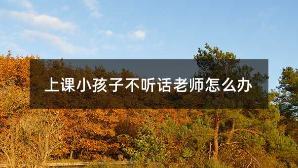 上課小孩子不聽話老師怎么辦
