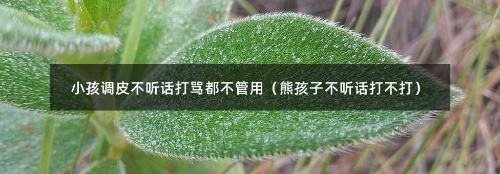 С���{(di��o)Ƥ�� Ԓ���R�������ã��ܺ��Ӳ� Ԓ�򲻴�