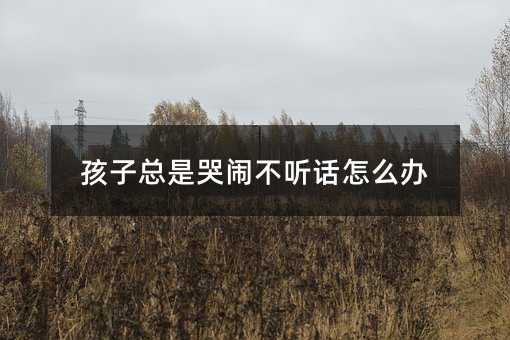 孩子總是哭鬧不聽話怎么辦