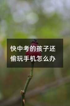 ���п��ĺ���߀͵���֙C��ô�k