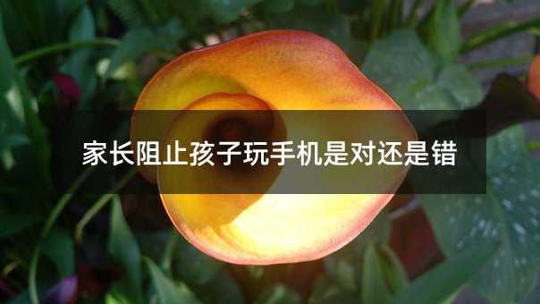 ���L��ֹ�������֙C�ǌ�߀���e