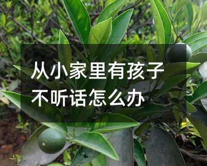 ��С�����к��Ӳ� Ԓ��ô�k