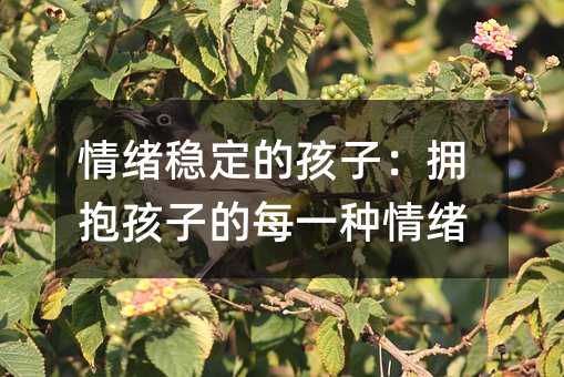 ��w�����ĺ��ӣ��������ӵ�ÿһ�N��w