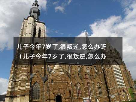 兒子今年7歲了,很叛逆,怎么辦呀(兒子今年7歲了,很叛逆,怎么辦啊)