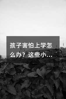 ���Ӻ����όW��ô�k���@ЩС����׌������ӛ�֑�