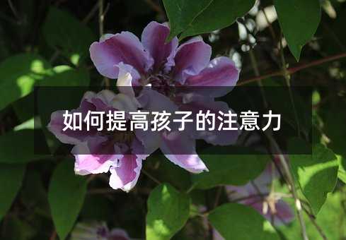 如何提高孩子的注意力